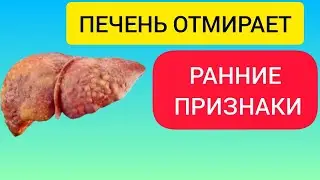 10 Early Signs of Liver Death. 99% of People with Liver Problems Don't Even Know It!