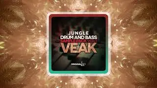 Jungle Sample Pack Vol.1 - Loops, Drums, Presets & FX