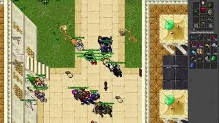Cheynin Ousado (204) [Elder Druid] - Malvera