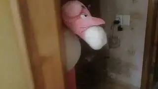Direct by.... meme compilation