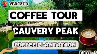 CAUVERY PEAK YERCAUD||COFFEE ☕ TOUR||COFFEE PLANTATION PART -2#cauverypeakyercaud#cauverypeakestate