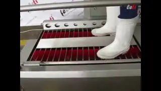 САНПРОПУСКНИК / СТАНЦИЯ ГИГИЕНЫ СО 3 / FELETI ®