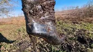 Грязные лаковые ботфорты