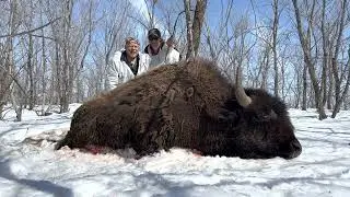 John hunts Spring Buffalo