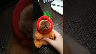 ВСЕ мои капибары, огромная новая🍓❤️🐹#капиб
