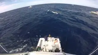 Tuna tower view