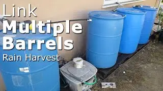 Link multiple 55 gallon closed top barrels to collect rain water