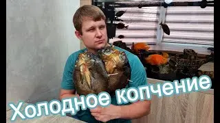 Холодное копчение рыбы - Лещ холодного копчения