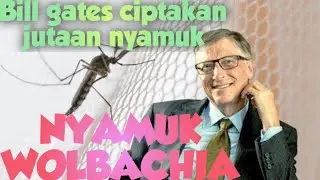 untuk apa ya kok nyamuk dikembang biakan?? nyamuk wolbachia