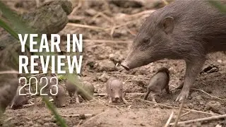 Durrell's Year in Review 2023