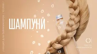 ОНЛАЙН-УРОК «ШАМПУНИ»