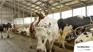 GENEX HerdMonitor Advances