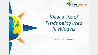 How to see a list of Fields being used for a data source in Experience Builder