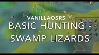 Swamp Lizards - OSRS How to Catch - Beginner Hunting Guide