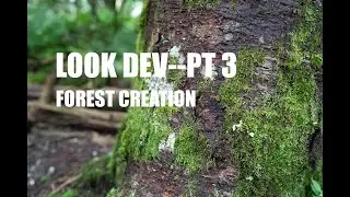 Forest Creation Look Dev Pt 3 #animation #unrealengine #hiking #greenscreen