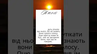 13 серпня 2024 р.