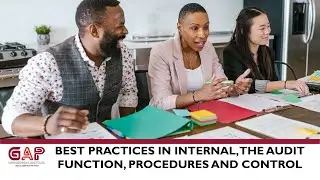Best Practices In Internal, The Audit Function Procedures And Control