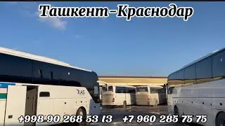Ташкент Краснодар автобус, Ташкент Ростов-на-Дону автобус, Краснодар Ташкент автобус