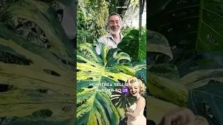 Kunzo Nishihata the Plant Legend #tropicalgarden #houseplants #comedy