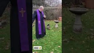 Cuándo liberas a un gatito malgeniado 😹🤣 