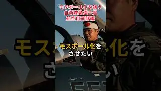 【モスボール化したい自衛隊装備3選 航空自衛隊編】#自衛隊装備 #モスボール