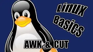Tekst/informatie uit bestanden halen met AWK en CUT | Linux Basics