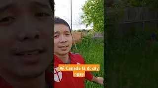Về Canada một phát là đi cày ngay lập tức!!