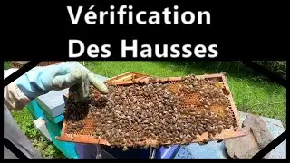 Verification des Hausses