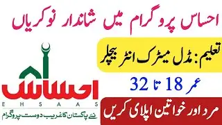Ehsaas Program Jobs 2021 || Bait-ul-Mal Jobs Govt Jobs 2021