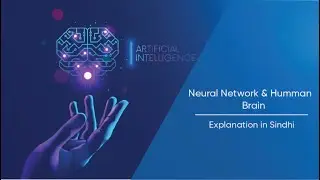 Neural Network & Human Brain - AI Education in Sindhi