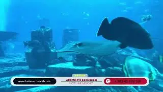 Atlantis, The Palm