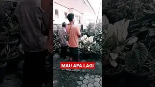 INI MAU DI BANGUN APA LAGI KIRA KIRA