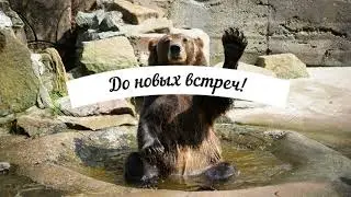 Калининград. Балтийский берег. Песня о Калининграде