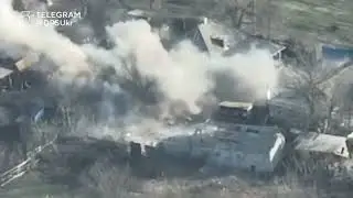 Наша Арта. Хірургічне видалення хробаків.