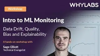 Intro to ML Monitoring: Data Drift, Quality, Bias and Explainability