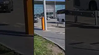Воскресили Hammer