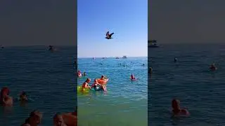 Отдых на море ⛵ Лазаревское