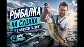 Рыбалка на судака в финском заливе