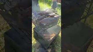 прикол про самогонку #прикол  #юмор #humor #shorts #tiktok #ржака #цитаты #смех #fishing #рыбалка