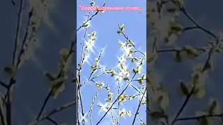 #стихипровербу