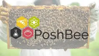 The PoshBee Project: Highlights for 2020