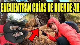 DUENDE SALE de su CASITA y se MUESTRA ante los HUMANOS por primera vez 97 | Laguna Negra