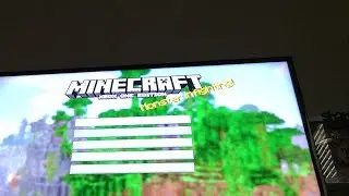 Let’s play Minecraft