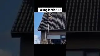 What would you do? 