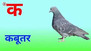 क से कबूतर ख से खरगोश | हिंदीवर्णमाला | ka se kabutar | Hindi varnamala | क ख ग | ककहरा | क से कबूतर