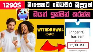 How to make 12,90 USD Per day with puppy clash app | e money Sinhala | Make money online 2021