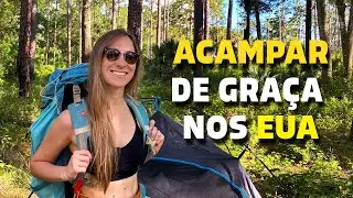 COMO FUNCIONA O ACAMPAMENTO SELVAGEM NOS ESTADOS UNIDOS | Ocala National Forest | Blue Spring