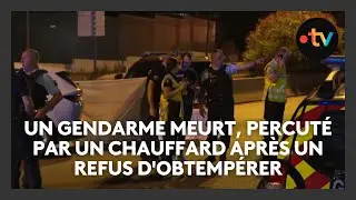 Un gendarme meurt, percuté par un chauffard après un refus d'obtempérer