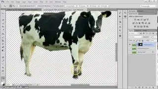 Advanced Selection Technique for Cut outs