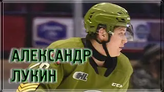 Александр Лукин